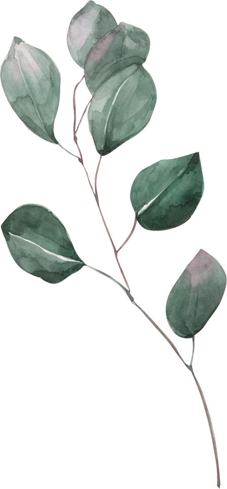 Watercolor Eucalyptus Branch 
